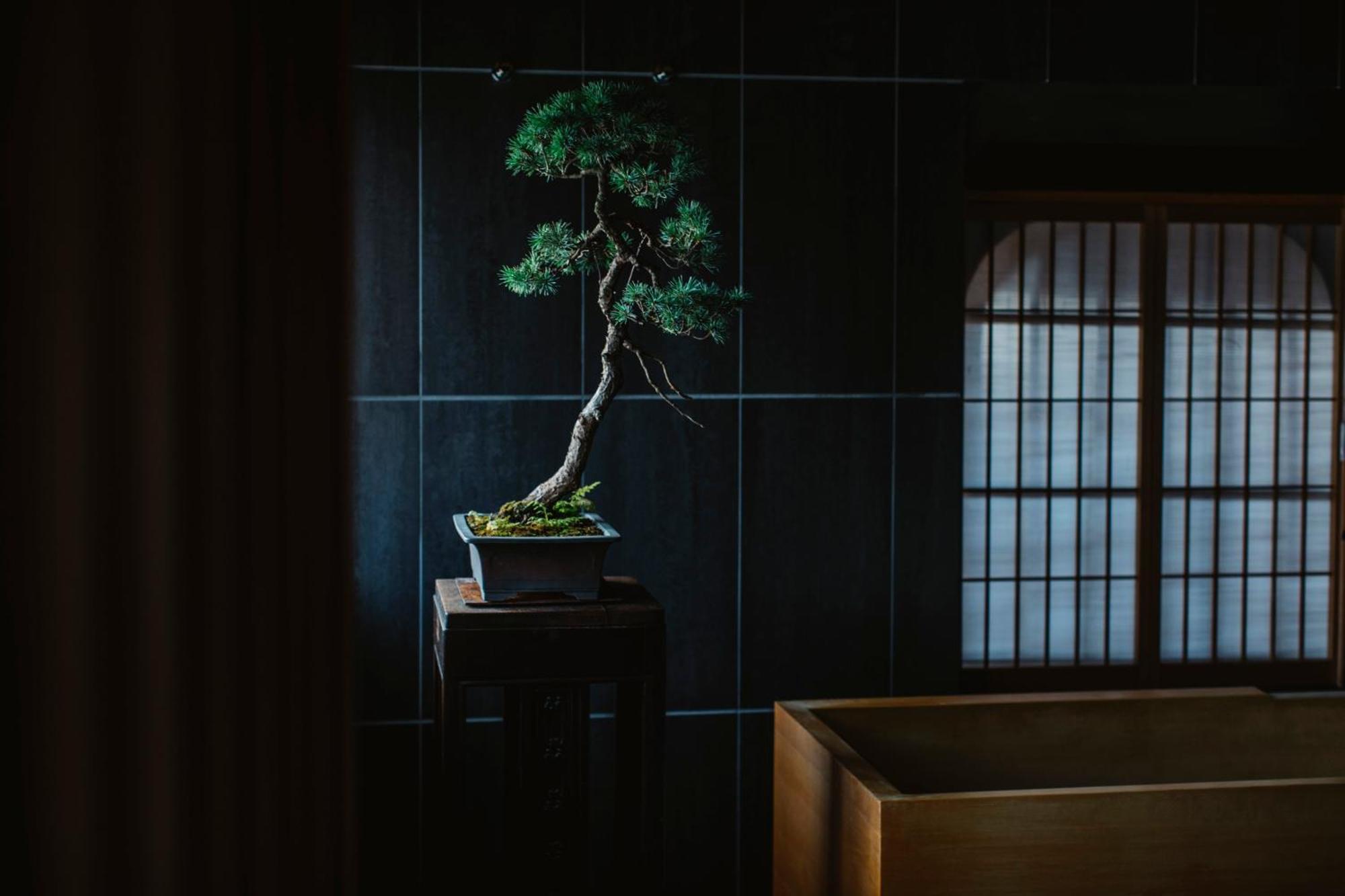 Sowaka Hotell Kyoto Exteriör bild